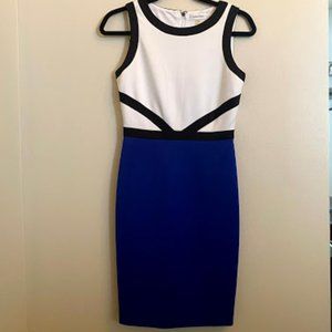 Calvin Klein Blue and White Size 2 Dress